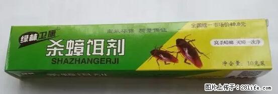 【紧急提醒】如果有“防疫站工作人员”上门灭杀蟑螂，请立刻报警 - 灌水专区 - 七台河生活社区 - 七台河28生活网 qth.28life.net