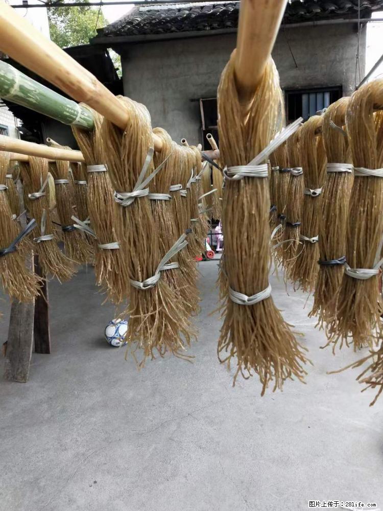 【灌阳正宗红薯粉】美女家里自己做的，干净卫生，假一赔十，价格合理，抢购电话：13737312895 - 美食天地 - 七台河生活社区 - 七台河28生活网 qth.28life.net