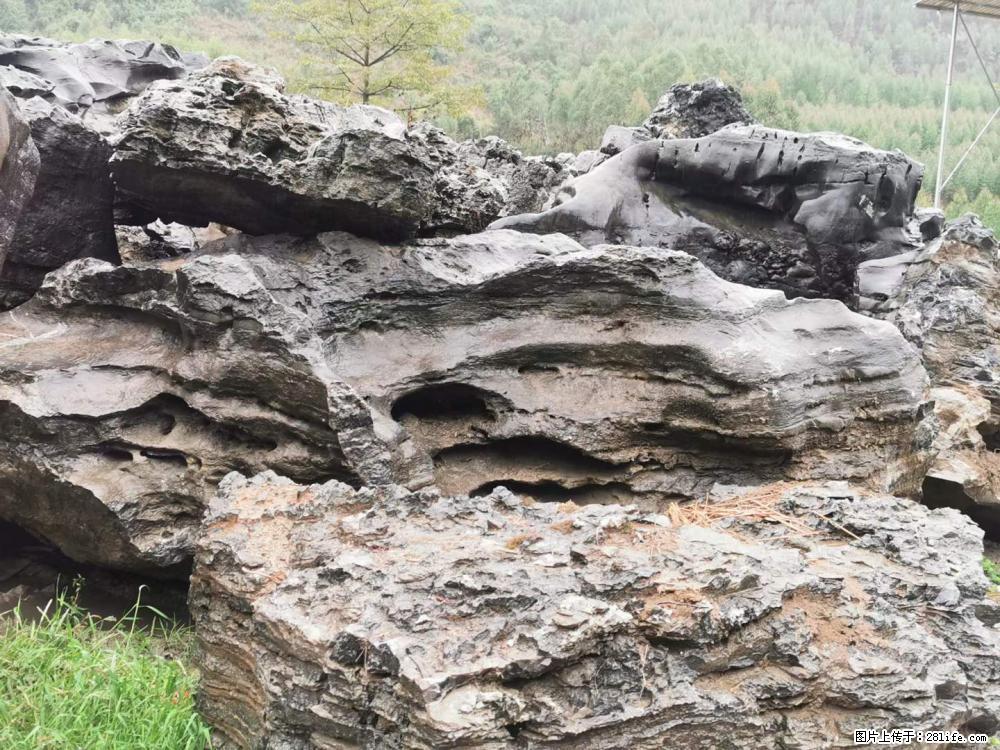 风景石、假山石大量有货，有需要的欢迎联系 - 新手上路 - 七台河生活社区 - 七台河28生活网 qth.28life.net
