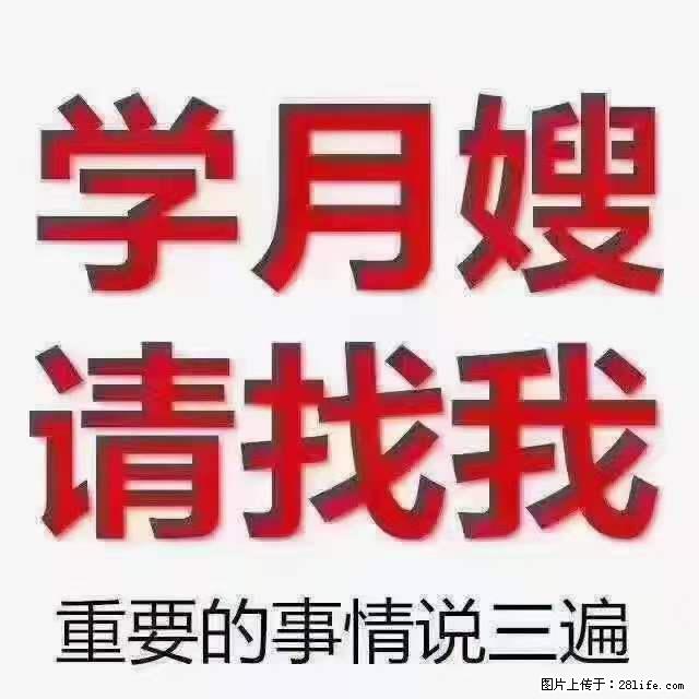 为什么要学习月嫂，育婴师？ - 其他广告 - 广告专区 - 七台河分类信息 - 七台河28生活网 qth.28life.net