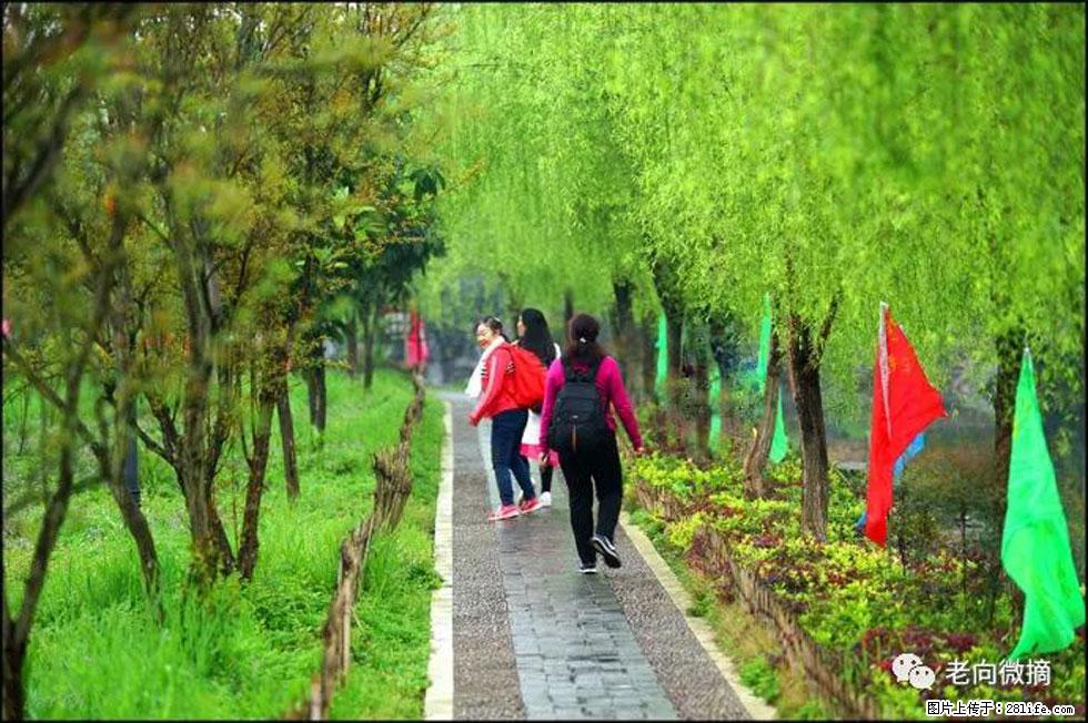 【春天，广西桂林灌阳县向您发出邀请！】江口老街又逢春 - 游山玩水 - 七台河生活社区 - 七台河28生活网 qth.28life.net