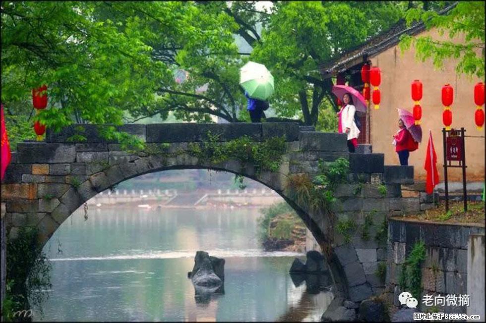 【春天，广西桂林灌阳县向您发出邀请！】江口老街又逢春 - 游山玩水 - 七台河生活社区 - 七台河28生活网 qth.28life.net