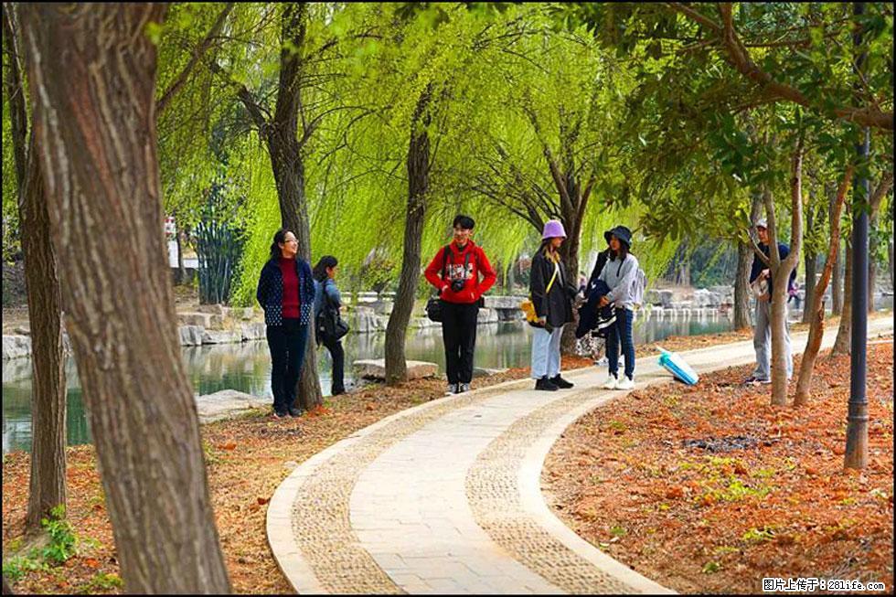 【春天，广西桂林灌阳县向您发出邀请！】江口老街又逢春 - 游山玩水 - 七台河生活社区 - 七台河28生活网 qth.28life.net