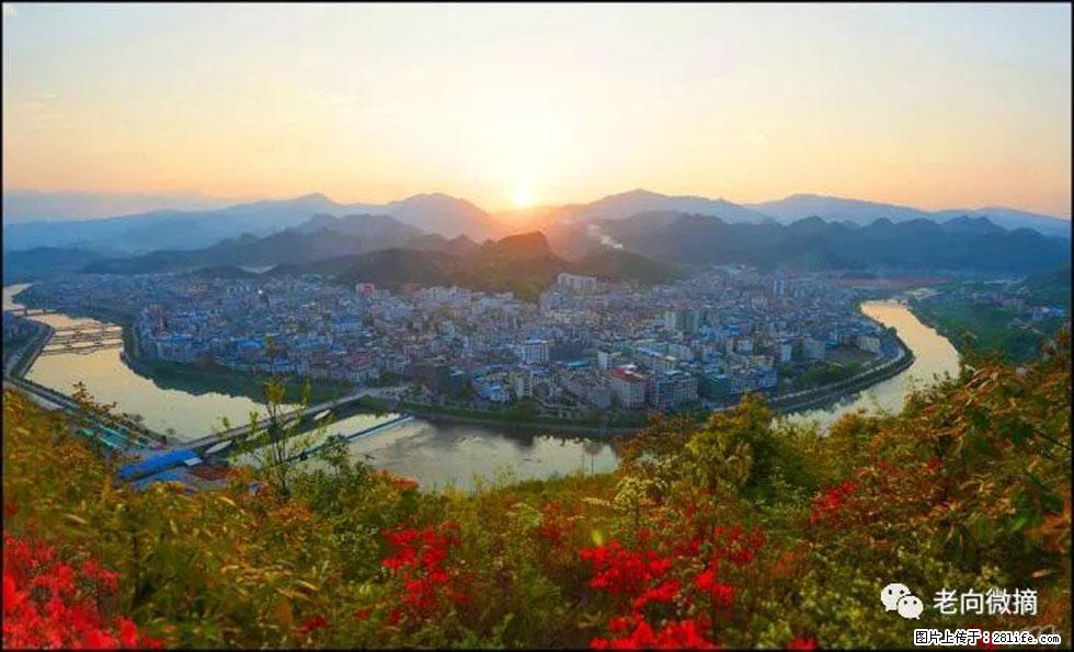 【春天，广西桂林灌阳县向您发出邀请！】登麒麟山，相约映山红 - 游山玩水 - 七台河生活社区 - 七台河28生活网 qth.28life.net