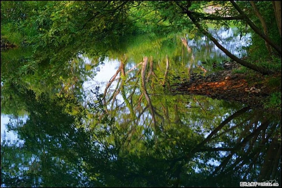 【春天，广西桂林灌阳县向您发出邀请！】熊家寨湿地公园 - 游山玩水 - 七台河生活社区 - 七台河28生活网 qth.28life.net