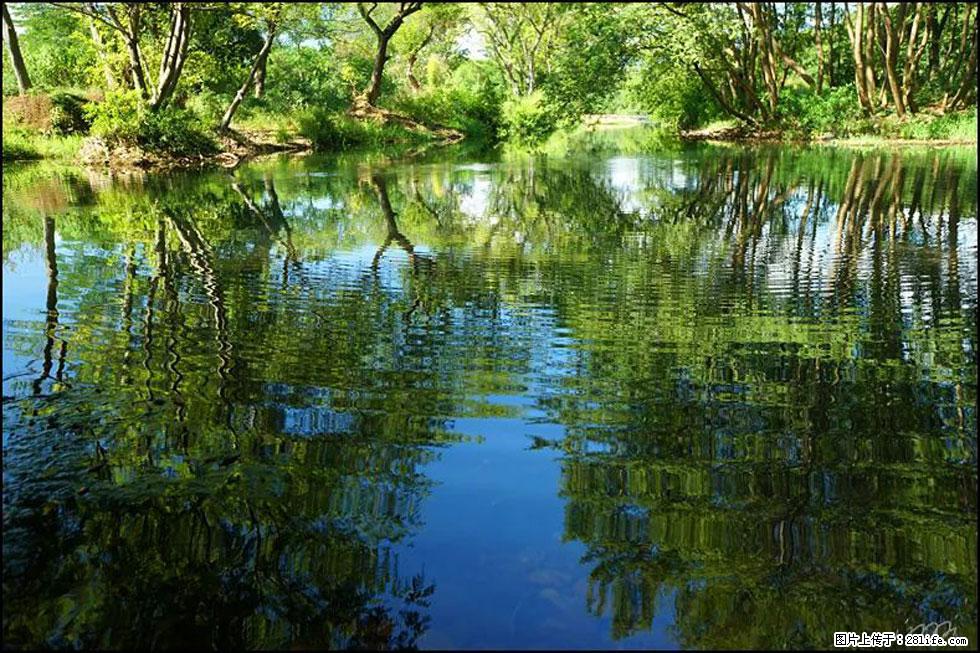 【春天，广西桂林灌阳县向您发出邀请！】熊家寨湿地公园 - 游山玩水 - 七台河生活社区 - 七台河28生活网 qth.28life.net