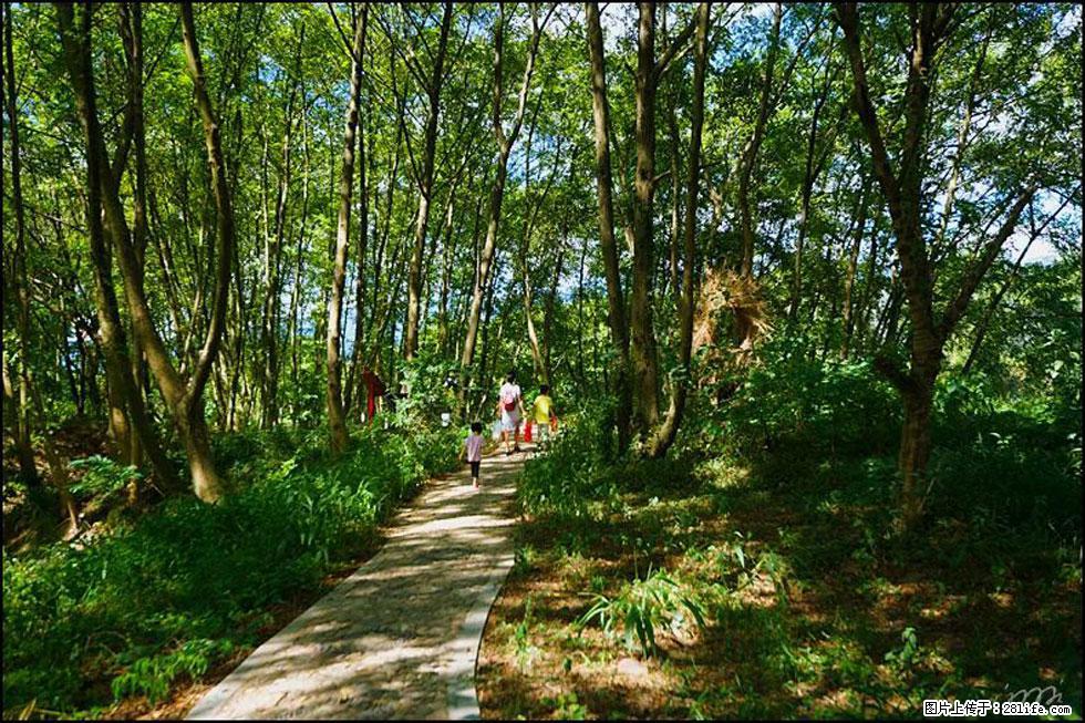 【春天，广西桂林灌阳县向您发出邀请！】熊家寨湿地公园 - 游山玩水 - 七台河生活社区 - 七台河28生活网 qth.28life.net