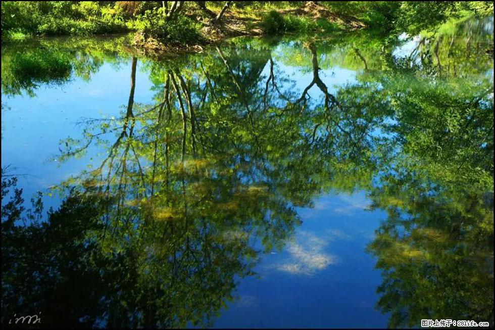 【春天，广西桂林灌阳县向您发出邀请！】熊家寨湿地公园 - 游山玩水 - 七台河生活社区 - 七台河28生活网 qth.28life.net