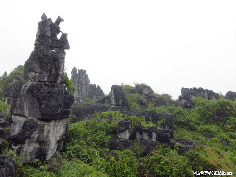桂林旅游名城景点：灌阳文市石林 - 游山玩水 - 七台河生活社区 - 七台河28生活网 qth.28life.net