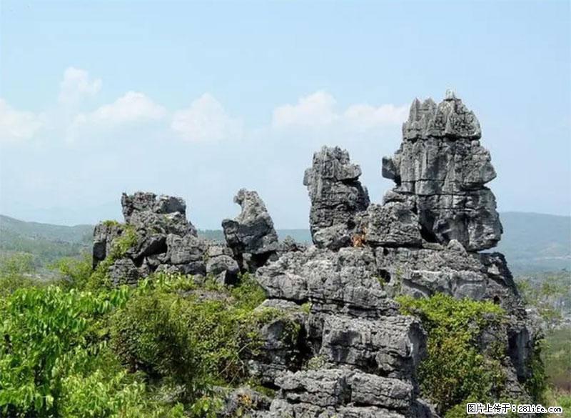 桂林旅游名城景点：灌阳文市石林 - 游山玩水 - 七台河生活社区 - 七台河28生活网 qth.28life.net