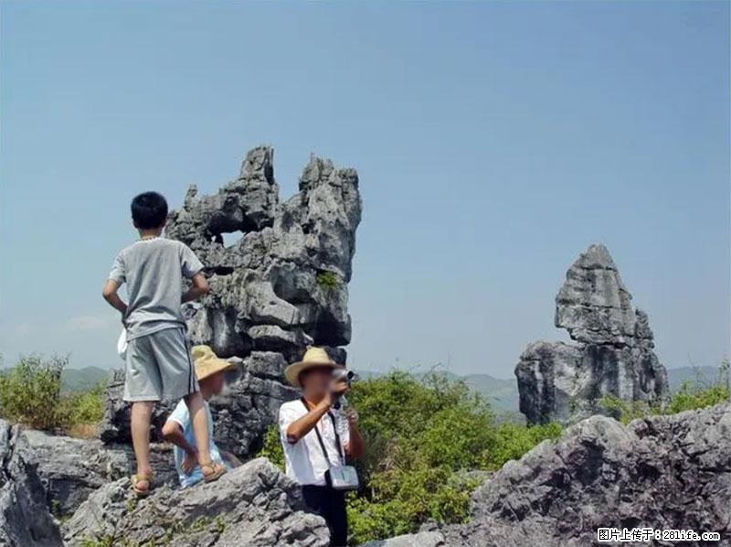 桂林旅游名城景点：灌阳文市石林 - 游山玩水 - 七台河生活社区 - 七台河28生活网 qth.28life.net