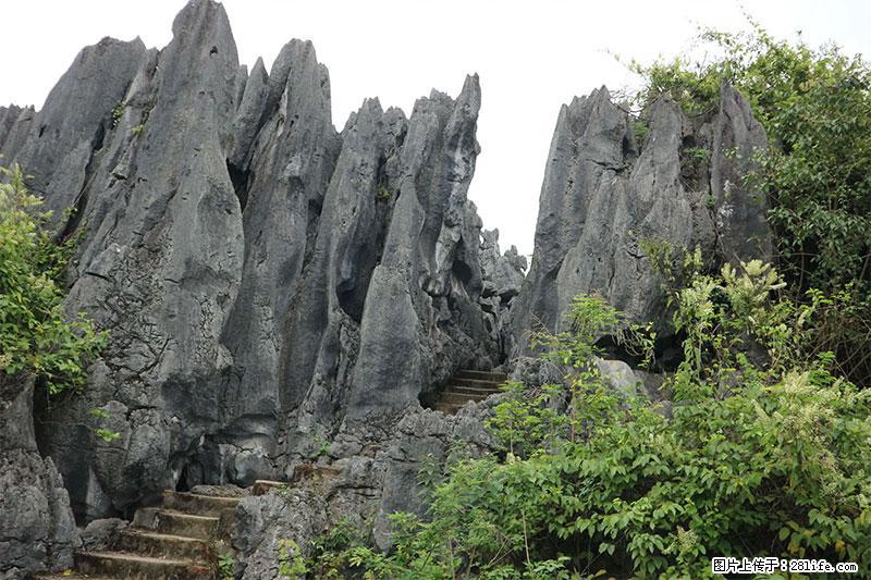 桂林旅游名城景点：灌阳文市石林 - 游山玩水 - 七台河生活社区 - 七台河28生活网 qth.28life.net