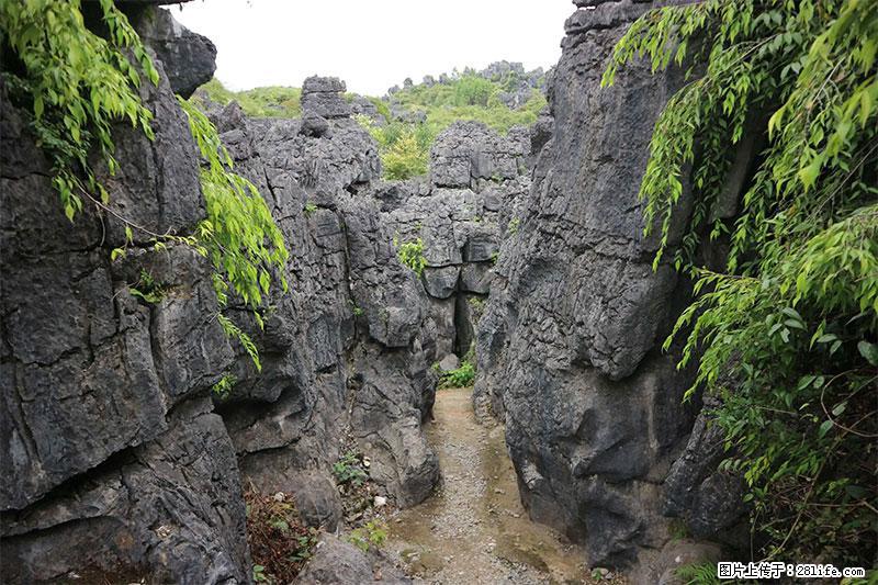 桂林旅游名城景点：灌阳文市石林 - 游山玩水 - 七台河生活社区 - 七台河28生活网 qth.28life.net