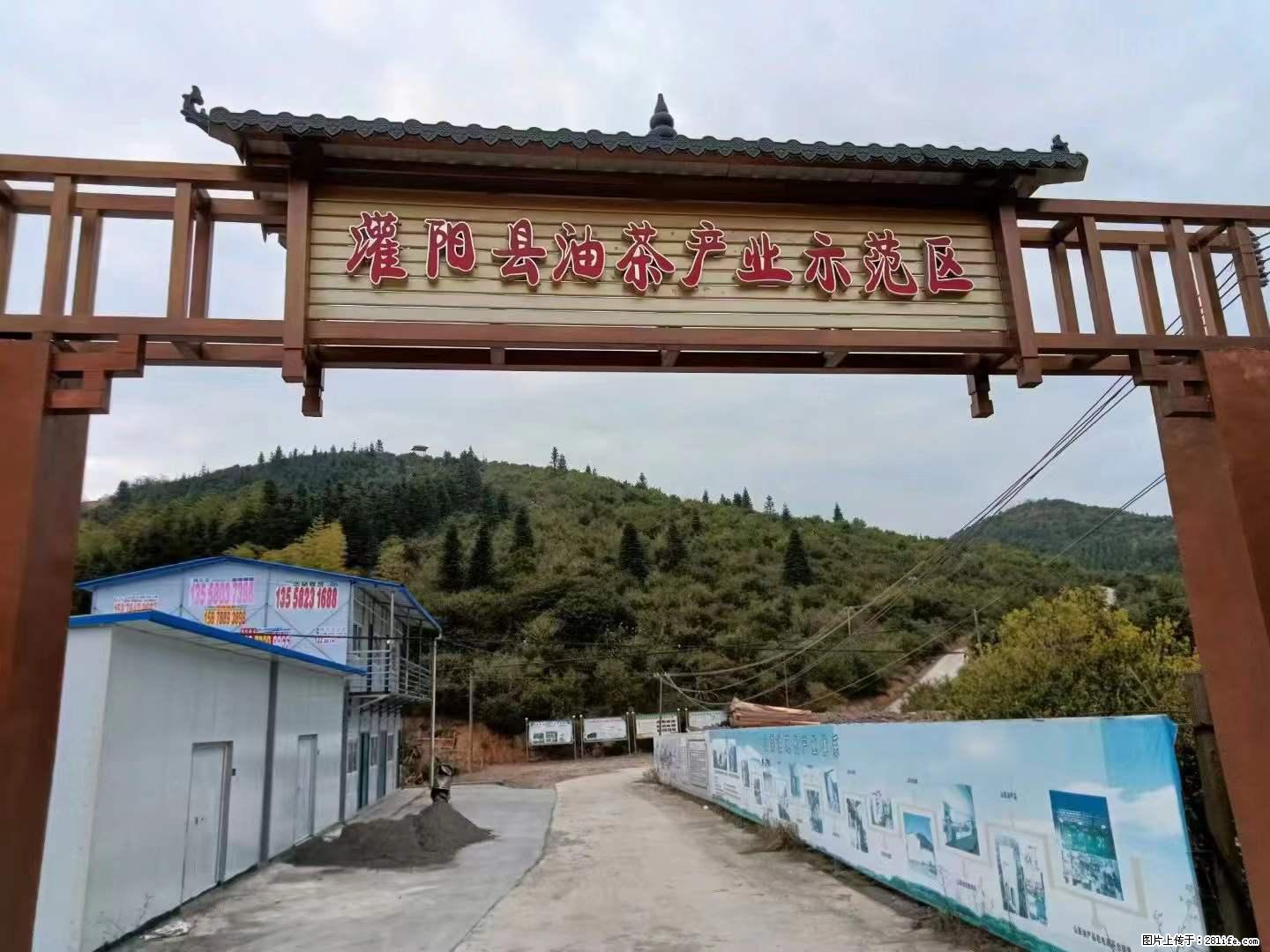 【灌阳县油茶产业示范区】一个有着充实的精神生活的人，对待身外之物自会有一种淡泊的态度 - 土特产 - 饮食特产 - 七台河分类信息 - 七台河28生活网 qth.28life.net