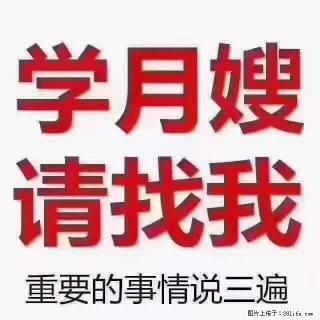 为什么要学习月嫂，育婴师？ - 七台河28生活网 qth.28life.net