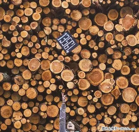 辞掉工作周游世界？现在他们在洗厕所…… - 游山玩水 - 七台河生活社区 - 七台河28生活网 qth.28life.net
