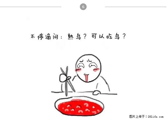 千万不要和这9种哈卵一起吃火锅！ - 美食天地 - 七台河生活社区 - 七台河28生活网 qth.28life.net