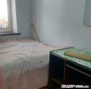 (单间出租)旭日小区 3室1厅1卫 男女不限 - 七台河28生活网 qth.28life.net