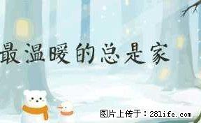 人民银行公寓 3室2厅2卫 - 房屋出租 - 房屋租售 - 七台河分类信息 - 七台河28生活网 qth.28life.net