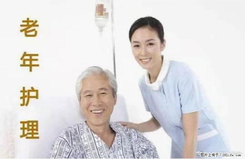 上海国企养老院，星级酒店环境，招聘养老护工 - 职场交流 - 七台河生活社区 - 七台河28生活网 qth.28life.net