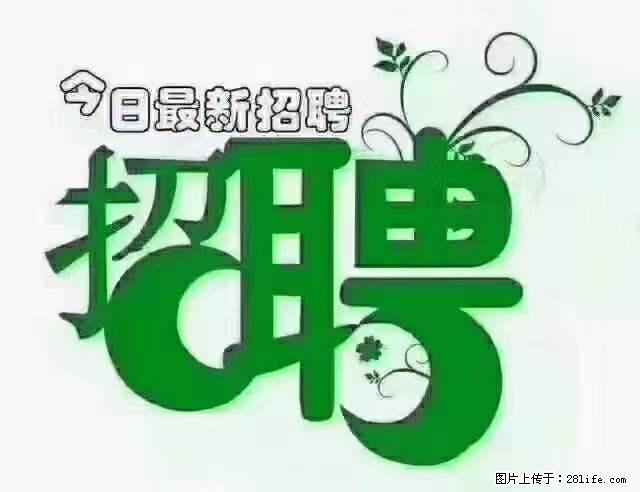 【招聘摄像师】待遇：试用期6000元/月，转正7000元/月+五险一金+餐补+节日福利+奖金 - 职场交流 - 七台河生活社区 - 七台河28生活网 qth.28life.net