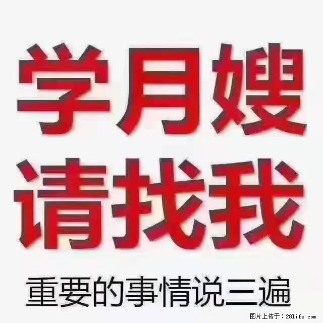 【招聘】月嫂，上海徐汇区 - 职场交流 - 七台河生活社区 - 七台河28生活网 qth.28life.net