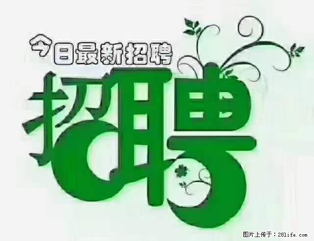 上海隔离酒店招人：55岁以下 男女不限 - 职场交流 - 七台河生活社区 - 七台河28生活网 qth.28life.net