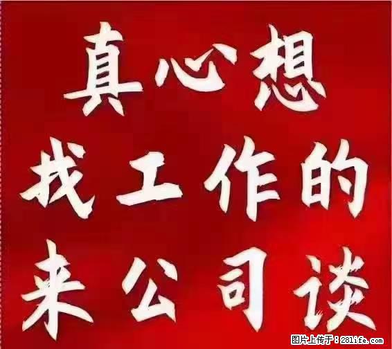 【上海】国企，医院招两名男保安，55岁以下，身高1.7米以上，无犯罪记录不良嗜好 - 职场交流 - 七台河生活社区 - 七台河28生活网 qth.28life.net