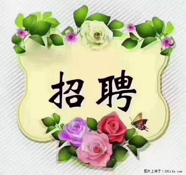 【招聘】住家育儿嫂，上户日期：4月4日，工作地址：上海 黄浦区 - 职场交流 - 七台河生活社区 - 七台河28生活网 qth.28life.net