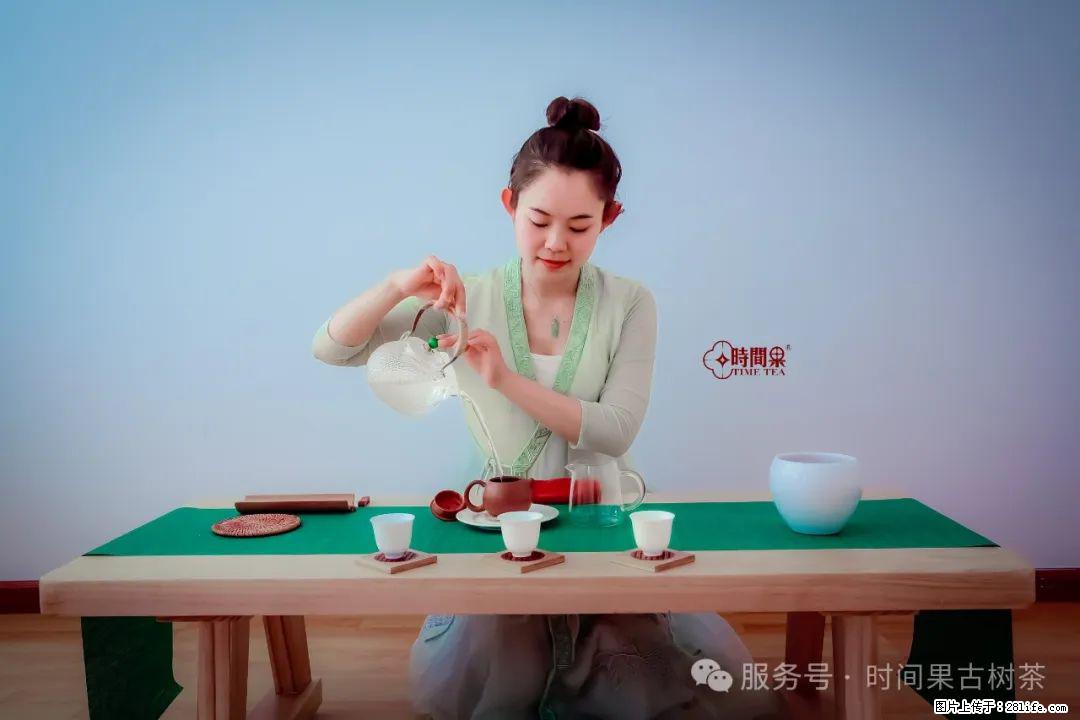 时间果百年古树龙珠普洱生茶 - 购物交流 - 七台河生活社区 - 七台河28生活网 qth.28life.net