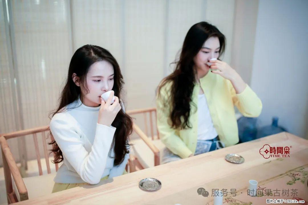 时间果百年古树龙珠普洱生茶 - 购物交流 - 七台河生活社区 - 七台河28生活网 qth.28life.net