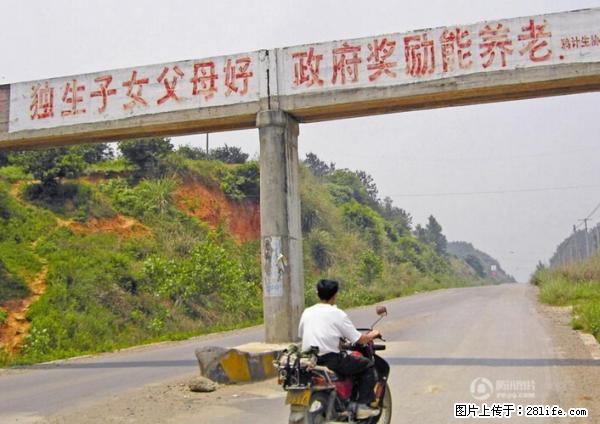 全面两孩政策计划明年元旦起实施 夫妻可延长生育假 - 七台河生活资讯 - 七台河28生活网 qth.28life.net