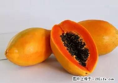 晕车、脚气、牙齿变黄、皮肤粗糙？学会这些三分钟搞定！ - 七台河生活资讯 - 七台河28生活网 qth.28life.net