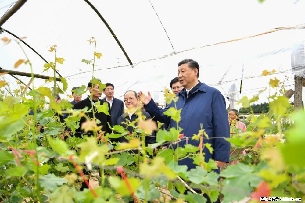 习近平赴广西考察调研 - 七台河生活资讯 - 七台河28生活网 qth.28life.net