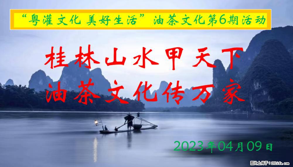 “粤灌文化 美好生活”油茶文化主题活动在广东深圳成功举办 - 七台河生活资讯 - 七台河28生活网 qth.28life.net
