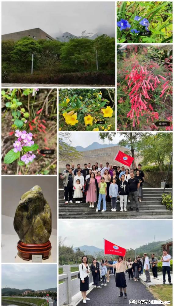 “粤灌文化 美好生活”油茶文化主题活动在广东深圳成功举办 - 七台河生活资讯 - 七台河28生活网 qth.28life.net