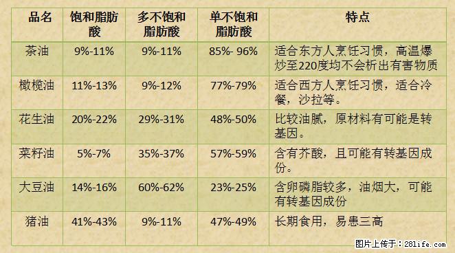 揭秘茶油的5大核心营养成分！被称为人体健康的“守护盾”！ - 七台河生活资讯 - 七台河28生活网 qth.28life.net