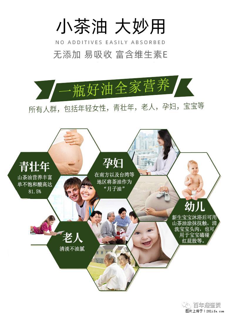 世界没有真相，只有认知，最好的食用油是中国的山茶油！ - 七台河生活资讯 - 七台河28生活网 qth.28life.net
