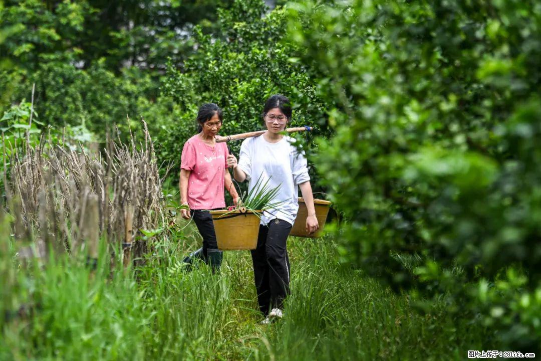 全网追的“扁担女孩”，找了一份暑假工，时薪12元 - 七台河生活资讯 - 七台河28生活网 qth.28life.net