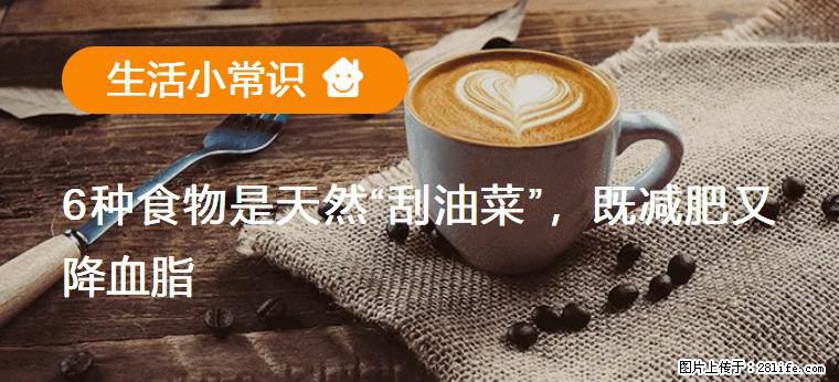 【生活小常识】6种食物是天然“刮油菜”，既减肥又降血脂 - 七台河生活资讯 - 七台河28生活网 qth.28life.net