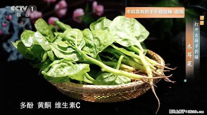 比牛奶补钙还厉害！凉血解毒、稳血糖...这菜冬天必吃，很多人却当草 - 七台河生活资讯 - 七台河28生活网 qth.28life.net