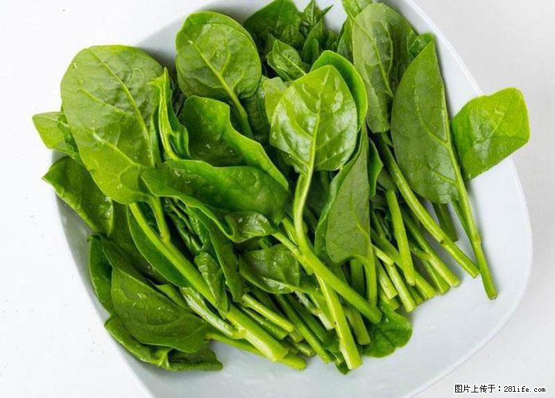 这些蔬菜是“天然钙片”，这6种被医生重点推荐 - 七台河生活资讯 - 七台河28生活网 qth.28life.net