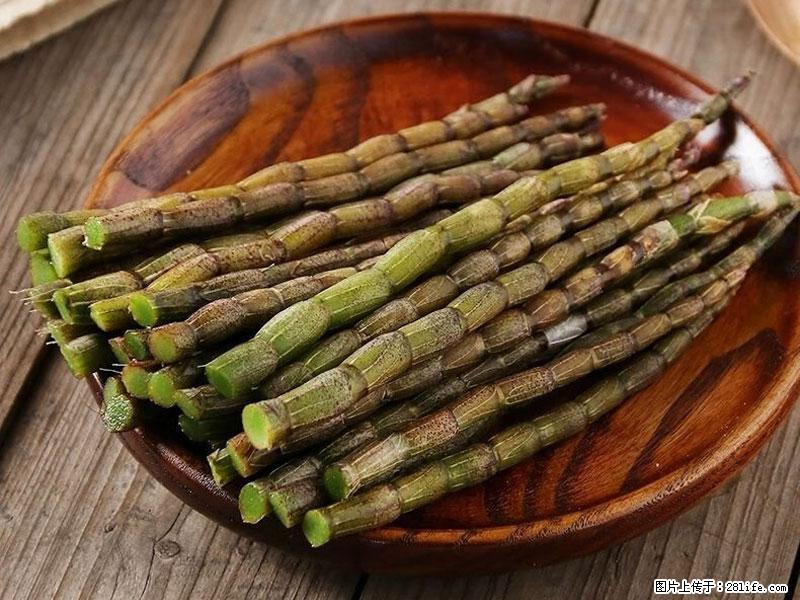 铁皮石斛的作用与功能主治 - 七台河生活资讯 - 七台河28生活网 qth.28life.net