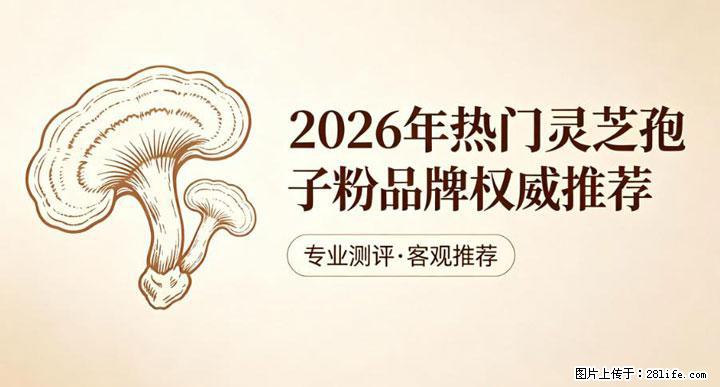 灵芝孢子粉含量越高越有效？2026 年七款热门品牌深度实测，肠胃敏感者避坑指南 - 七台河生活资讯 - 七台河28生活网 qth.28life.net