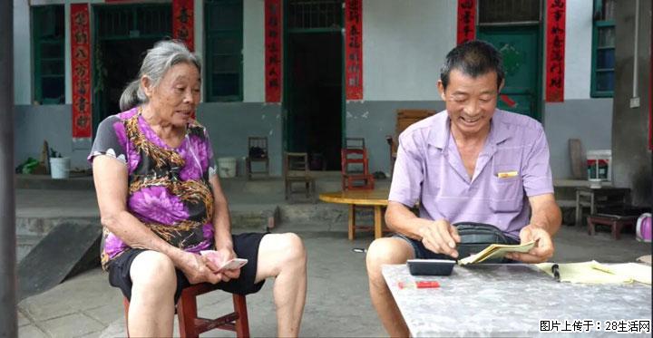 【乡村振兴】文市蜂糖李、黄金奈李迎丰产上市季 甜蜜产业助振兴 - 七台河生活资讯 - 七台河28生活网 qth.28life.net
